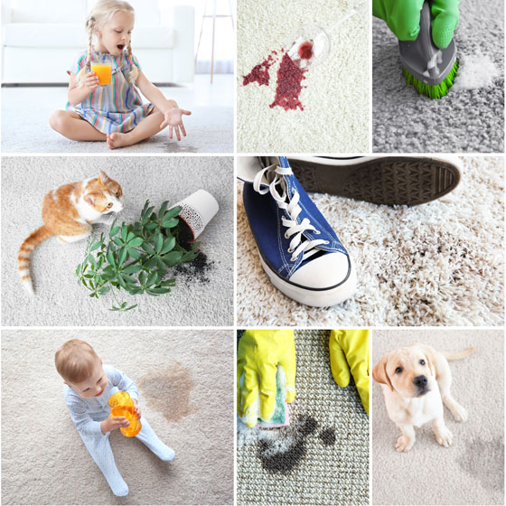 What is the real color of your carpet? Step 2 clean stains immediately