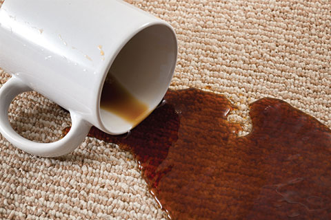 Coffee Spill On Carpet In Need Of Cleaning