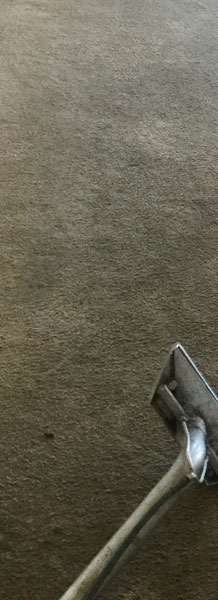 See the difference between the stained carpet on the left and the clean carpet on the right