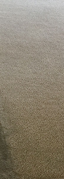See the difference between the stained carpet on the left and the clean carpet on the right