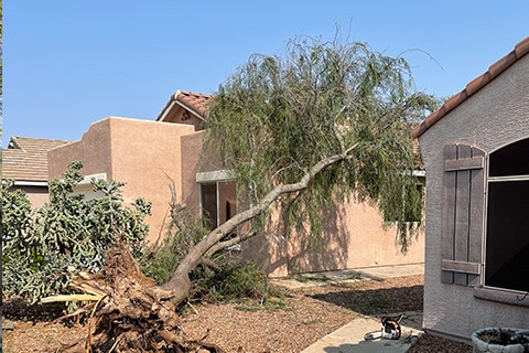 Emergency Storm Restoration Tree Fell On House