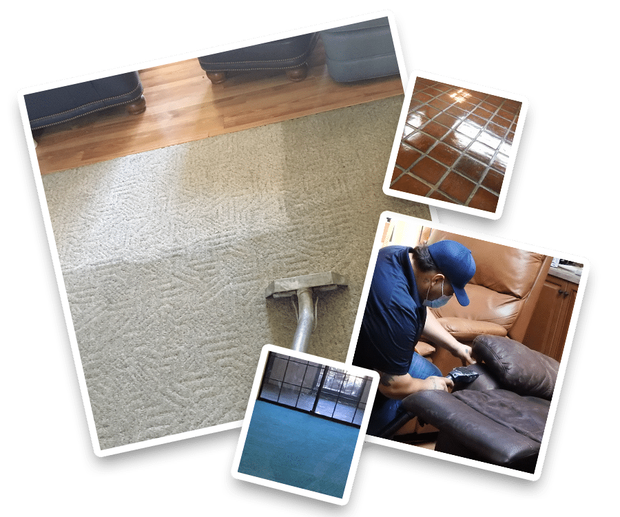 Carpet, Tile, and Upholstery Cleaning Services