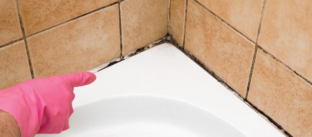 Bathroom Mold | Commercial Cleaning and Restoration