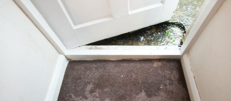 Image of flooded carpet. Is carpet drying an option for saving it after monsoon flood?
