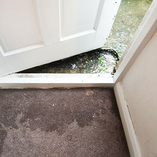 image of water contamination category 3, black water.