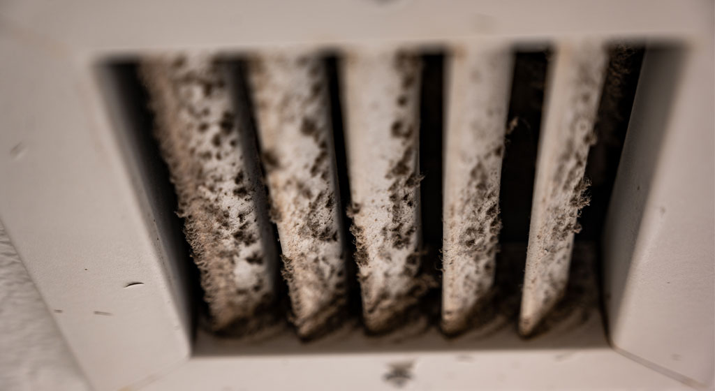 Mold problems