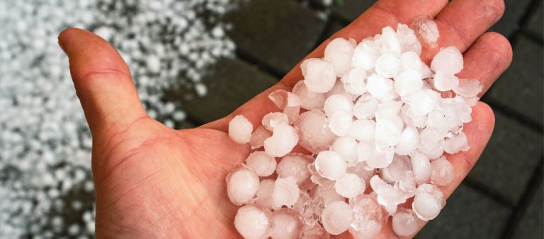 Hail Damage