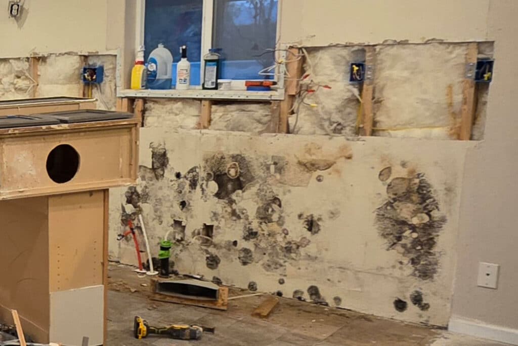 Home Inspector Misses