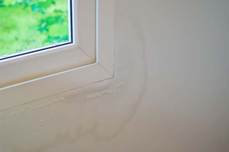 Home Inspector Misses